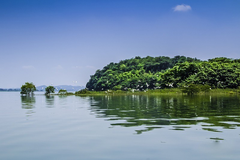 成都-九牟-峨乐-都青 全景特惠进店8日游